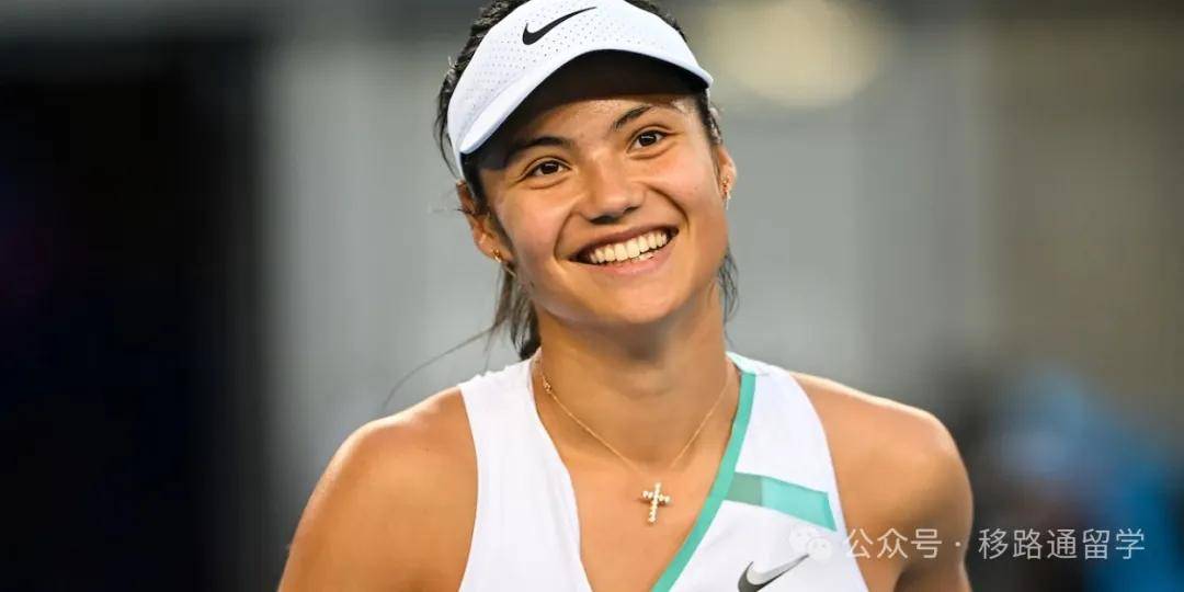 应对策略四 应对策略四