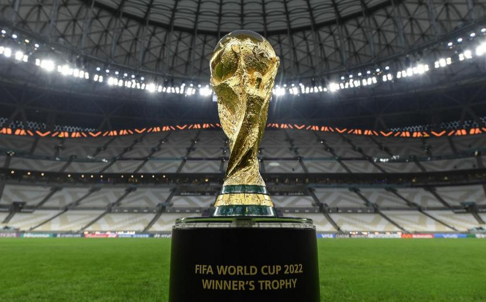 而是新手进 而是新手进